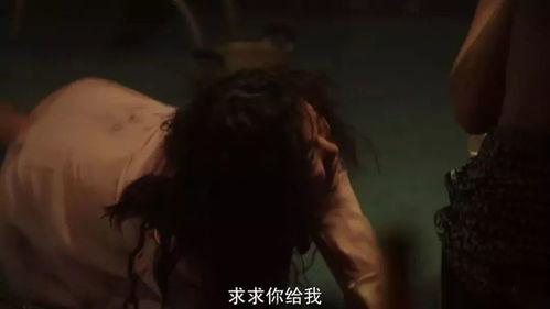 免费黄色电影在线观看,免费黄色电影在线观看的真相与风险  第1张